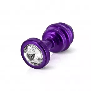 Bijoux Anal Ano Ribbed Violet