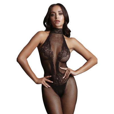 Catsuit Fishnet and Lace Image