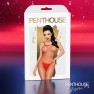 Calendrier de L'Avent Deluxe - photo 4