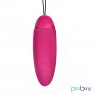 Oeuf Vibrant Honi v2 - photo 0