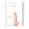 Gode Curved Realistic Dildo 15,5 cm - photo 5