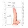 Gode Curved Realistic Dildo 20,5 cm - photo 5