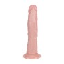 Dong Ventouse Vibrant Courbé 20,5 cm - photo 3