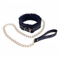 Collier et Laisse Cougar