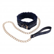 Collier et Laisse Cougar
