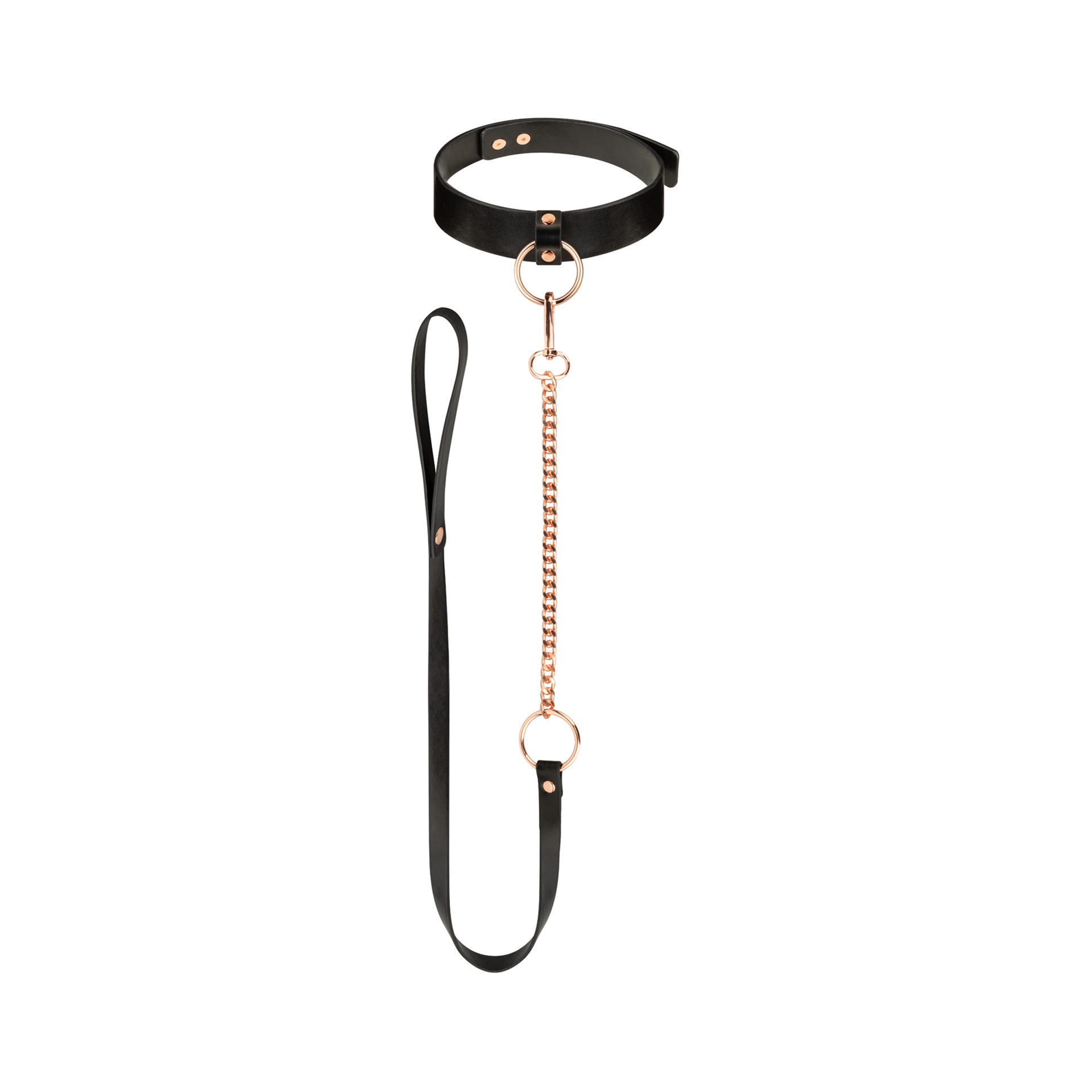 Collier avec Laisse Dorée