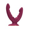 Double Dildo Ryde - photo 2