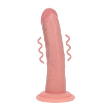 Dong Vibrant Silicone Double Densité 15,5 cm