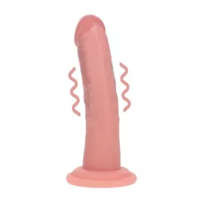 Dong Vibrant Silicone Double Densité 15,5 cm