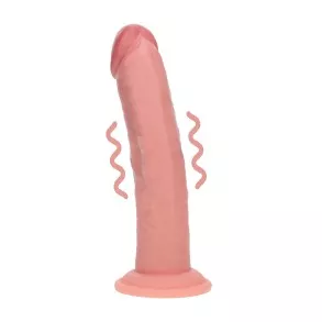 Dong Vibrant Silicone Double Densité 20,3 cm