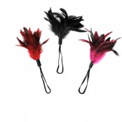 Plumeau Pleasure Feather