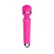 Wand Rock Rose