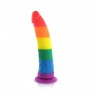 Dong Ventouse Rainbow - photo 0