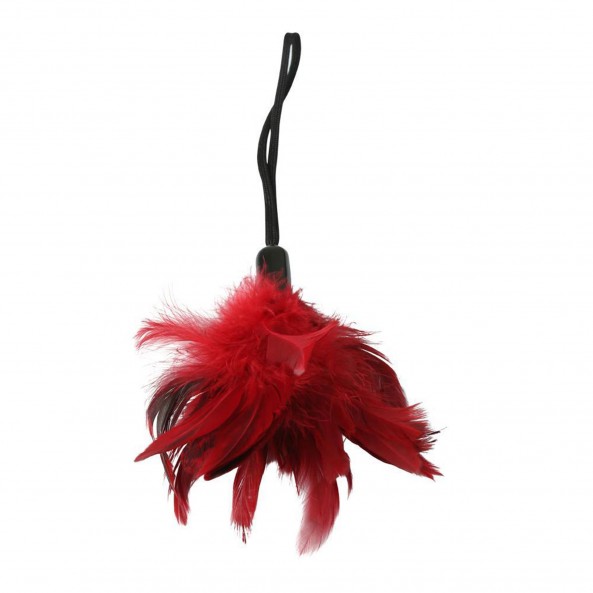 Photo produit 3