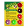 Boules Brésiliennes X6 différentes Saveurs - photo 0
