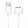 Câble de chargeur USB Satisfyer Blanc - photo 0