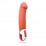 Vibromasseur Master - photo 0