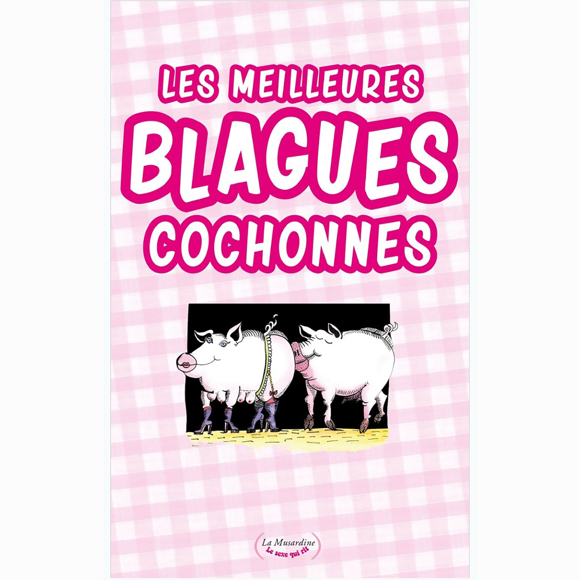 Les Meilleures Blagues Cochonnes