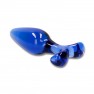 Plug Anal Expert en Verre - photo 1