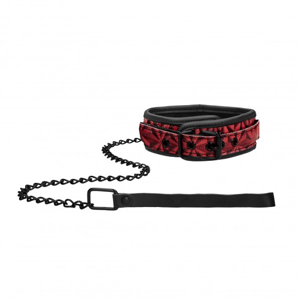 Collier avec Laisse Luxury