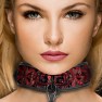 Collier avec Laisse Luxury - photo 1