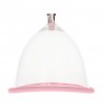 Développeur de Poitrine Breast Pump Rose Gold - photo 3
