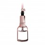 Développeur de Poitrine Breast Pump Rose Gold - photo 1