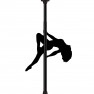 Barre Pole Dance - photo 1