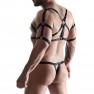 Ensemble Rubber avec pack de 2 Strings - photo 1