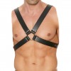 Harnais Buckle
