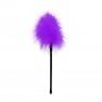 Plumeau Feather - photo 0