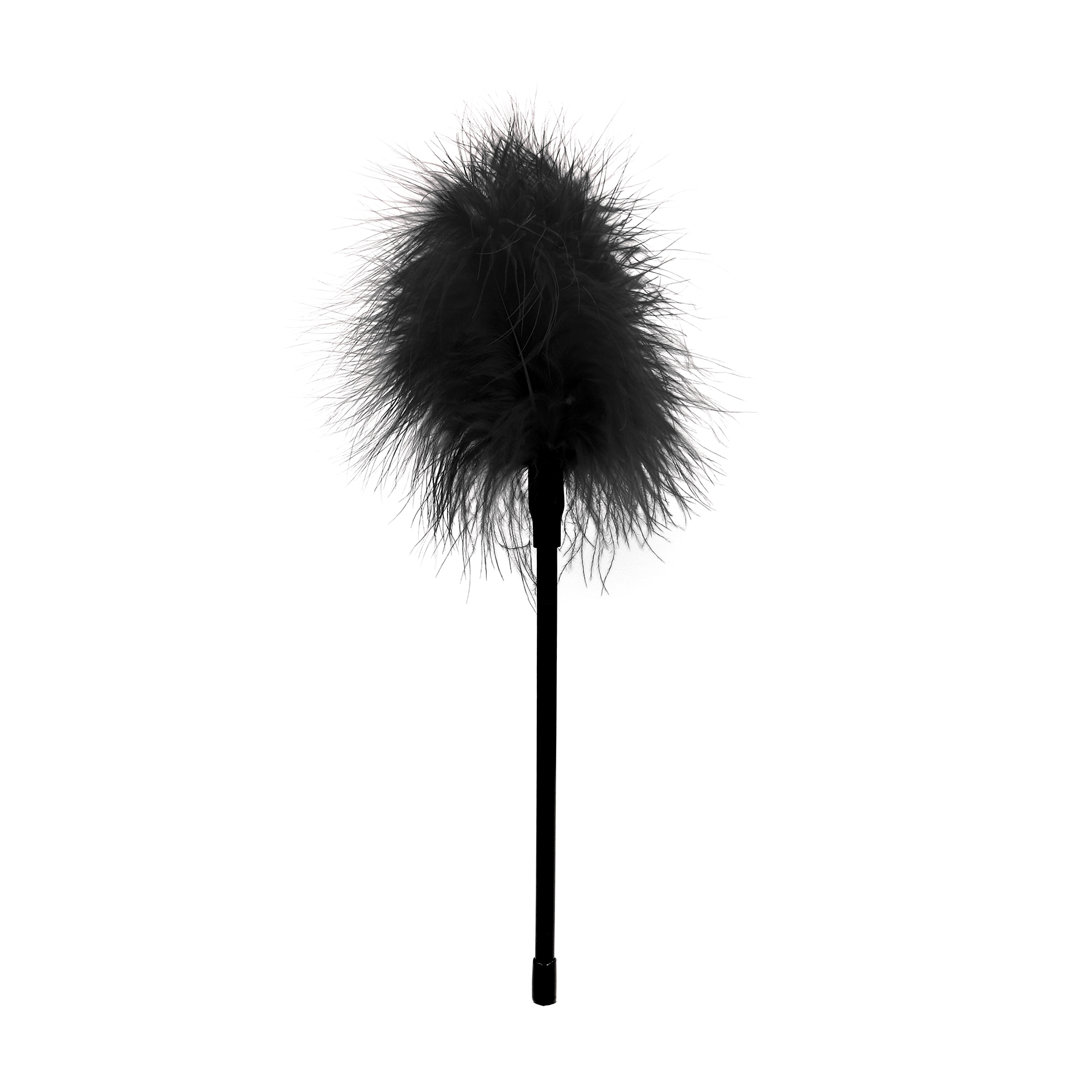 Plumeau Feather