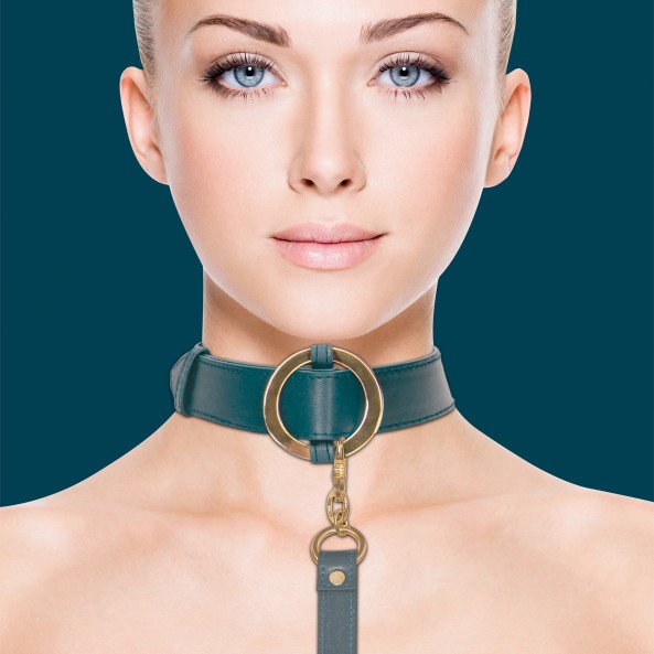 Collier avec Laisse Halo