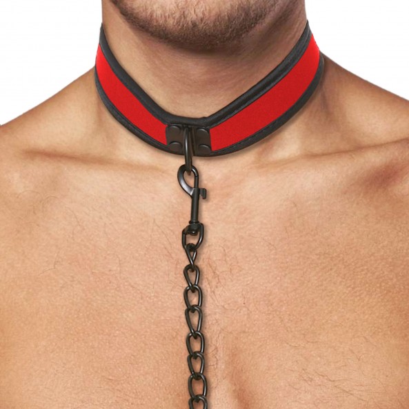 Collier Laisse Néoprène
