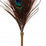 Plumeau Peacock Tickler Dona - photo 2