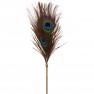 Plumeau Peacock Tickler Dona - photo 3