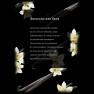 Bougie de Massage - photo 1