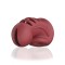 Cage à Pénis Chastity Model 28 Rouge Rouge
