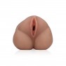 Vaginette Institutrice - Pussy - photo 4