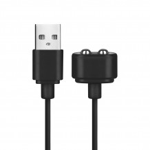 Câble de chargeur USB Satisfyer Noir