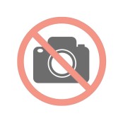 Nettoyant Sextoys Toy Cleaner